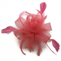 Chapeau mariage Accessoire de coiffure plume tulle corail