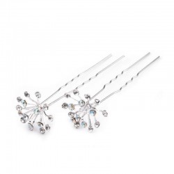 2 Epingles cheveux cristal